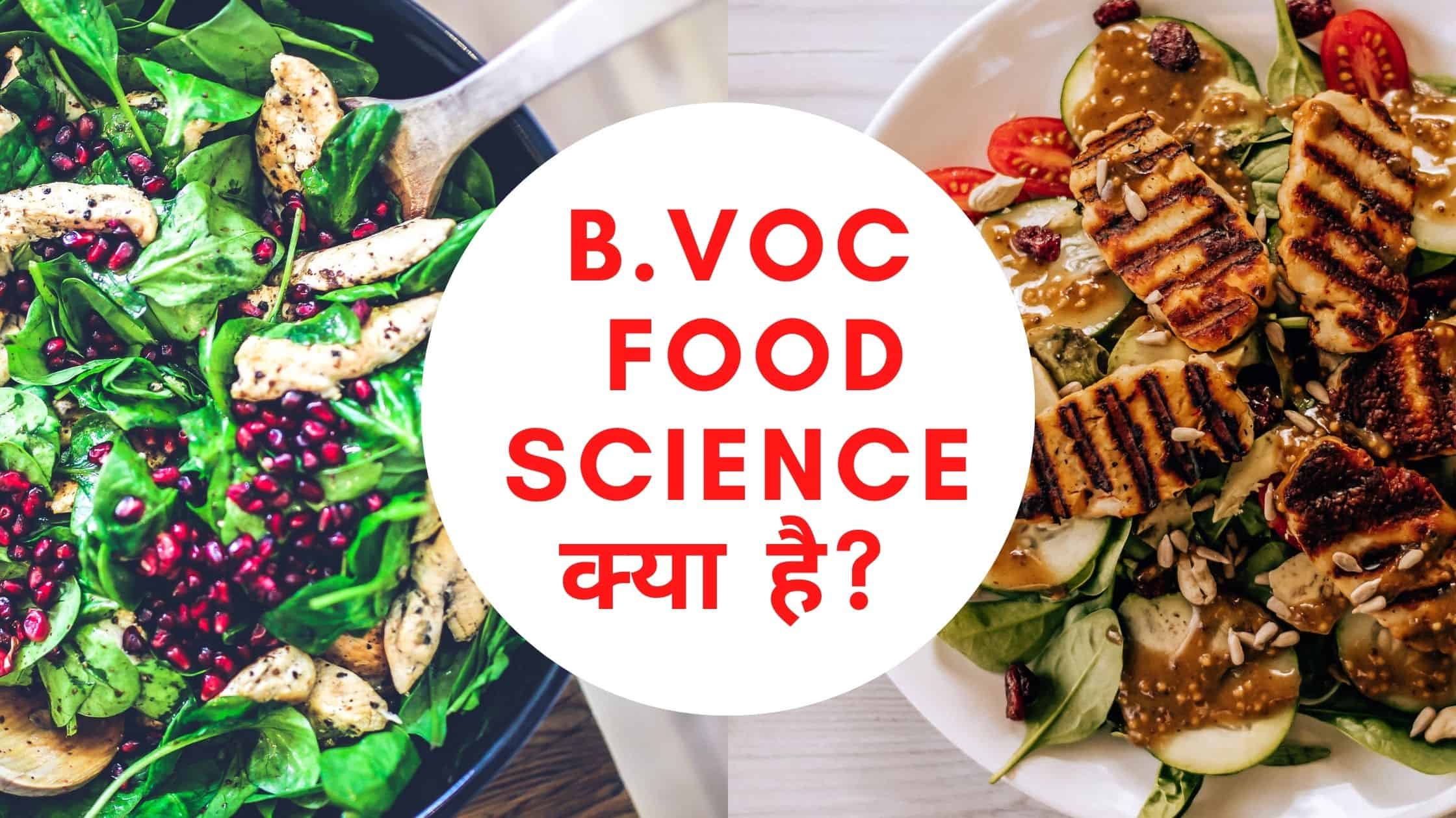 B.Voc Food Science क्या है? Eligibility, Career हिंदी में